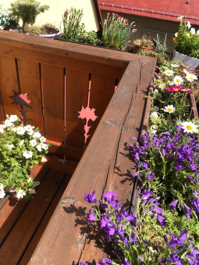 Vysoké Tatry Apartman Relax מראה חיצוני תמונה